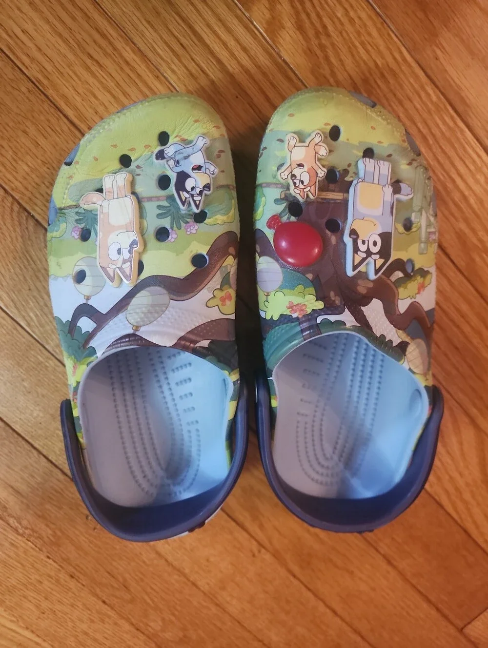 Crocs Classic Bluey Kids' Green & Blue Multicolored Clog Shoes
